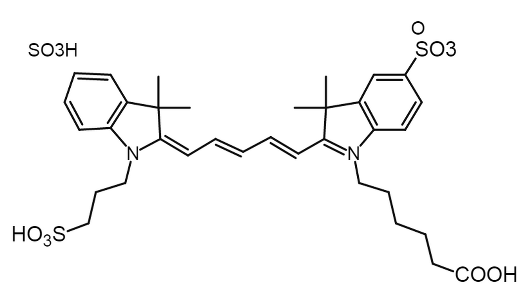 Sulfo-Cy5 Acid