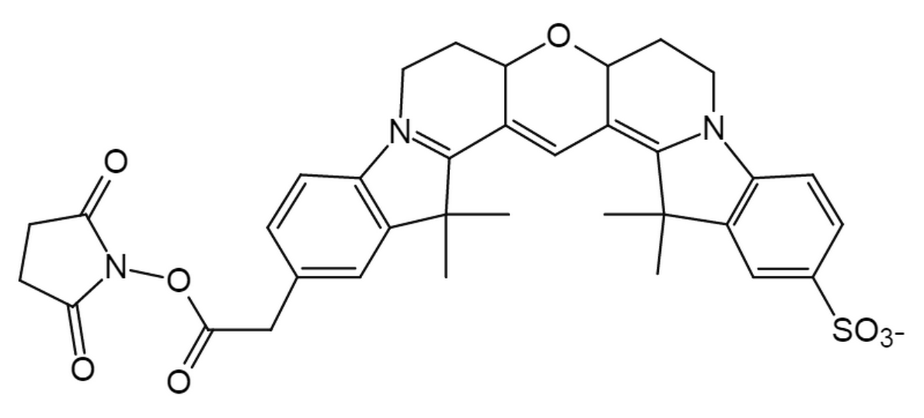 Cyanine3B NHS ester