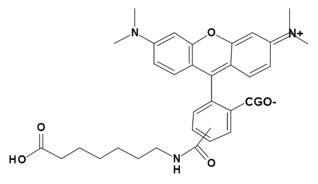 TAMRA-C6-Acid