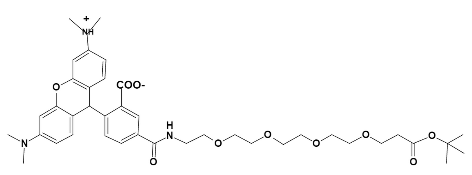 TAMRA-PEG4-t-butyl ester