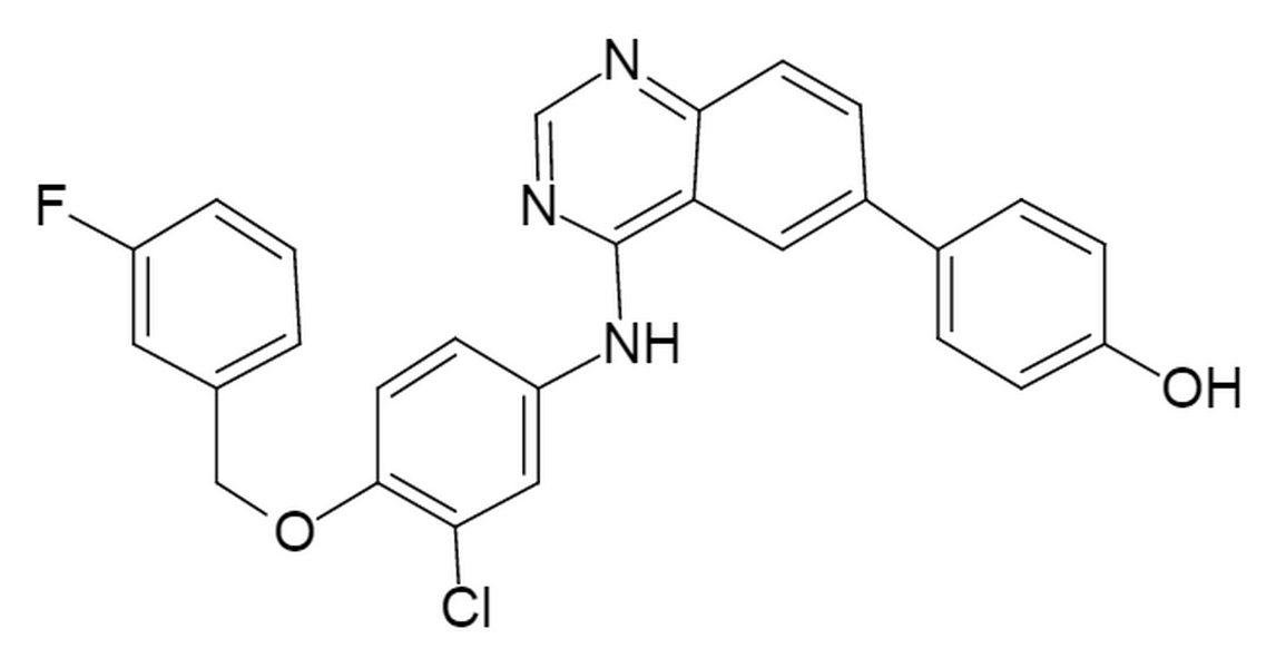 4-(4-(4-(3-fluorobenzyloxy)-3-chlorophenylamino)quinazolin-6-yl)phenol
