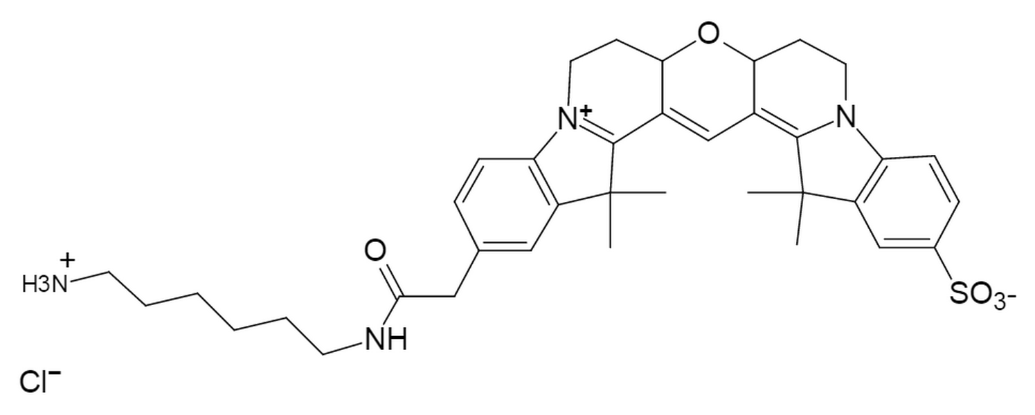 Cyanine3B amine