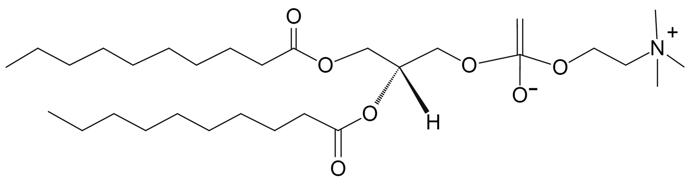 1,2-Didecanoyl-sn-glycero-3-phosphocholine
