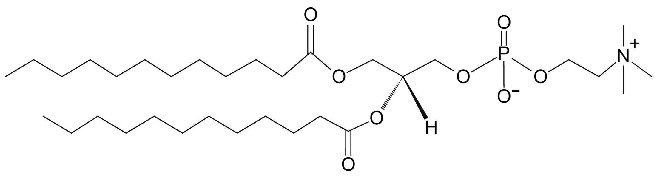 1,2-Dilauroyl-sn-glycero-3-Phosphocholine