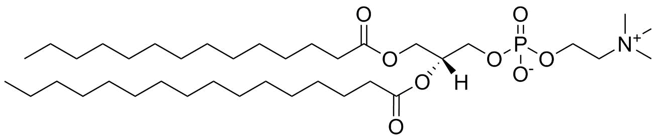 1-myristoyl-2-palmitoyl-sn-glycero-3-phosphocholine