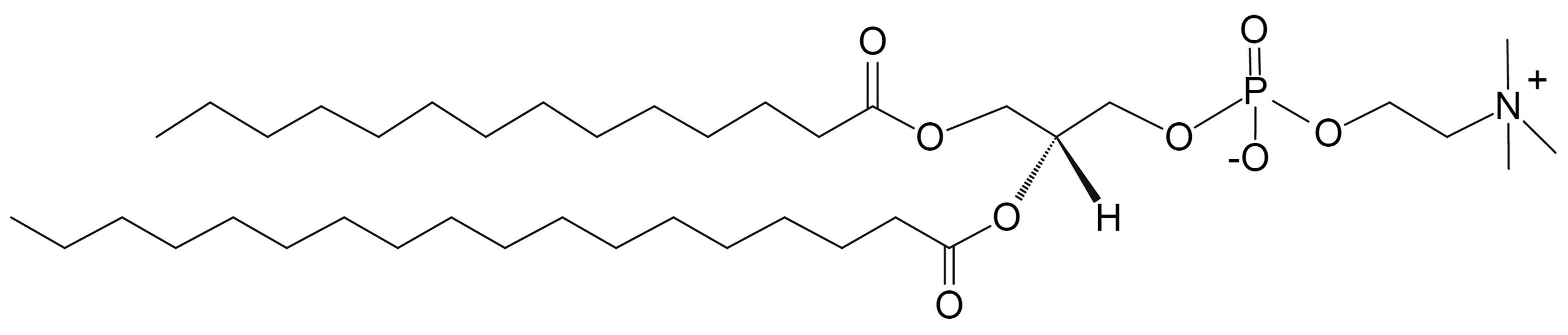 1-myristoyl-2-stearoyl-sn-glycero-3-phosphocholine