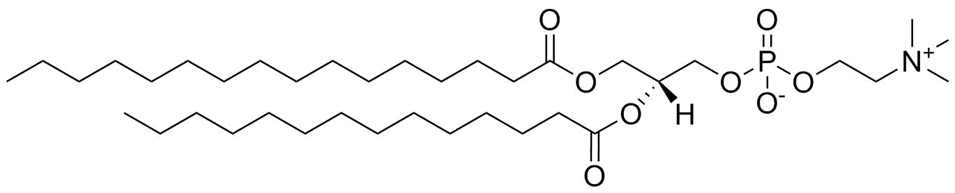 1-Palmitoyl-2-myristoyl-sn-glycero-3-phosphocholine