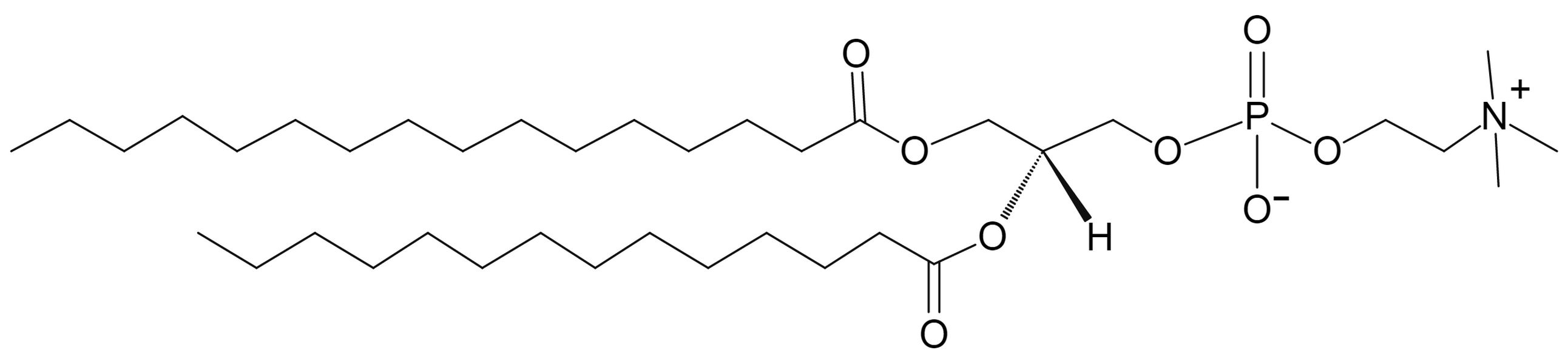 1-Palmitoyl-2-myristoyl-sn-glycero-3-phosphocholine