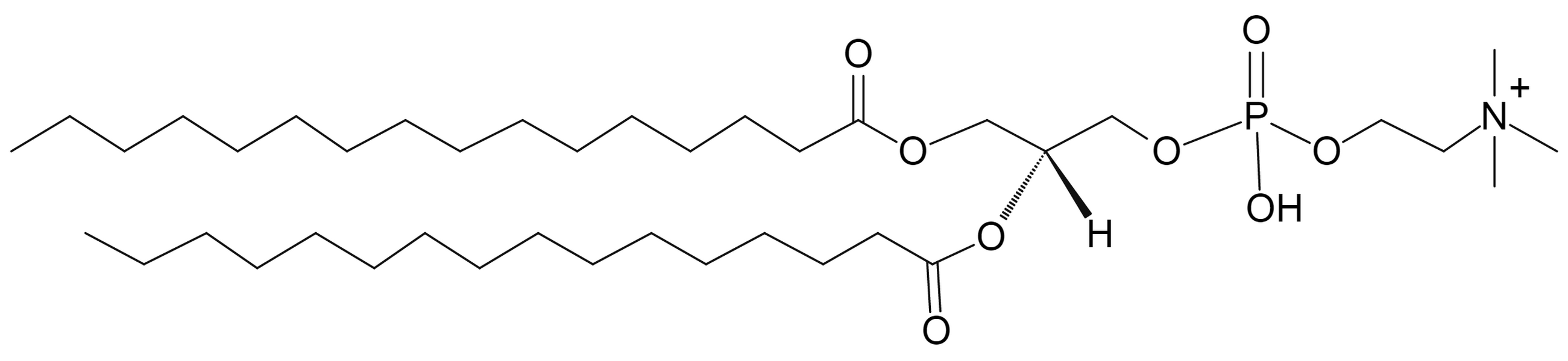1,2-Dipalmitoyl-sn-glycero-3-Phosphatidylcholine
