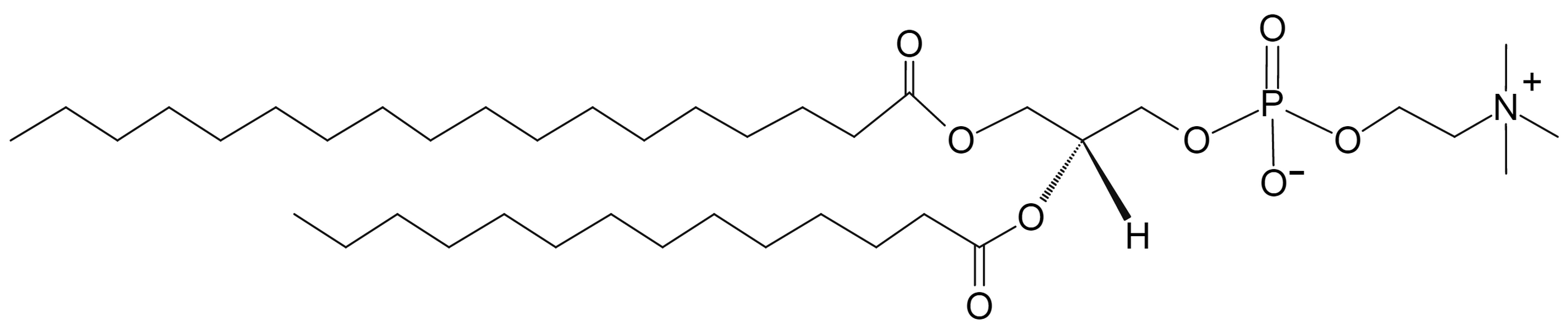 1-Stearoyl-2-myristoyl-sn-glycero-3-Phosphocholine