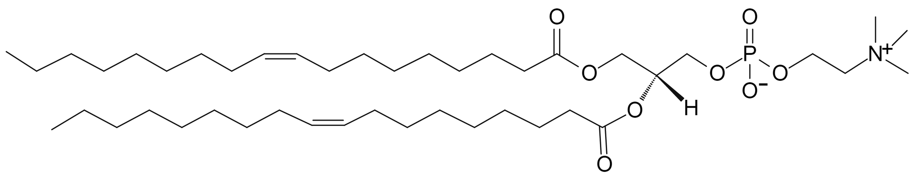 1,2-Dioleoyl-sn-Glycero-3-Phosphocholine