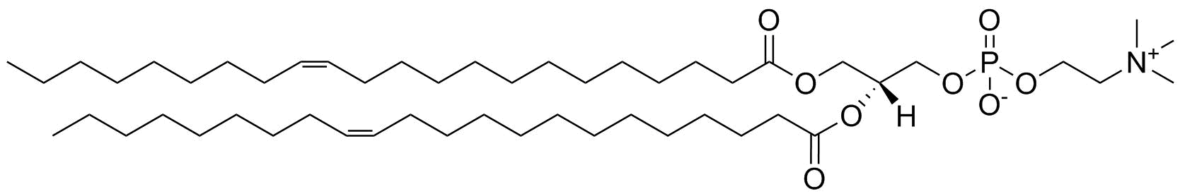 1,2-Dierucoyl-sn-glycero-3-Phosphocholine