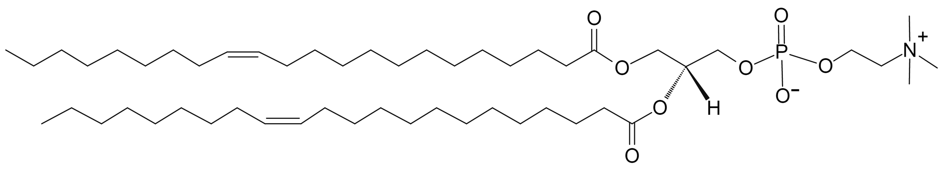 1,2-Dierucoyl-sn-glycero-3-Phosphocholine