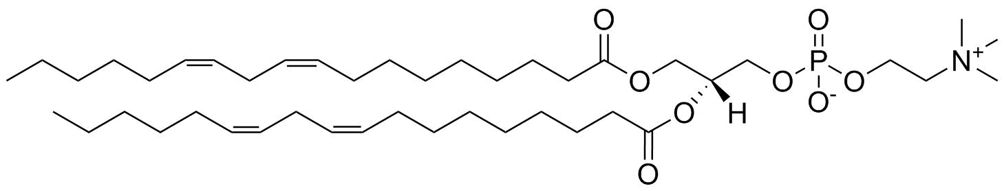1,2-Dilinoleoyl-sn-glycero-3-Phosphatidylcholine
