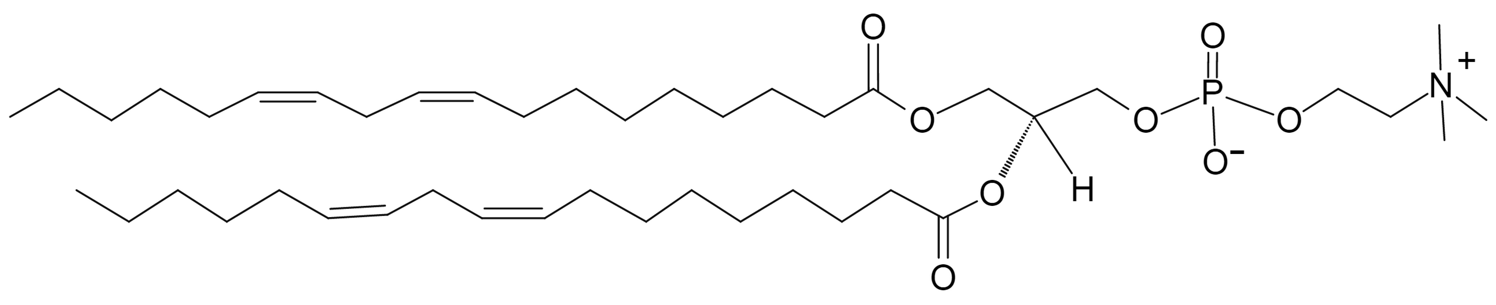 1,2-Dilinoleoyl-sn-glycero-3-Phosphatidylcholine