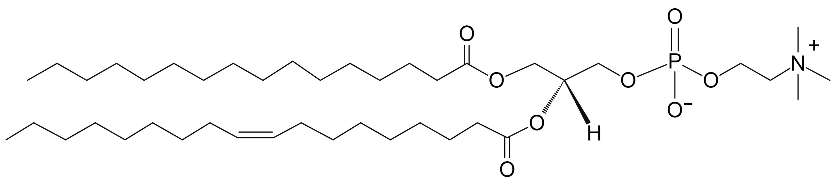 1-Palmitoyl-2-oleoyl-sn-glycero-3-Phosphocholine