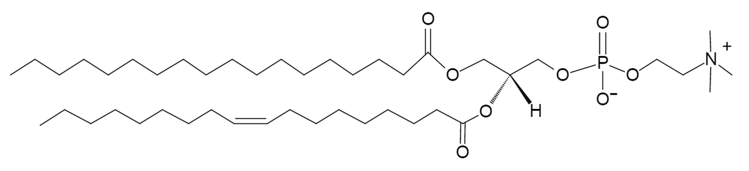 1-Stearoyl-2-oleoyl-sn-glycero-3-phosphocholine