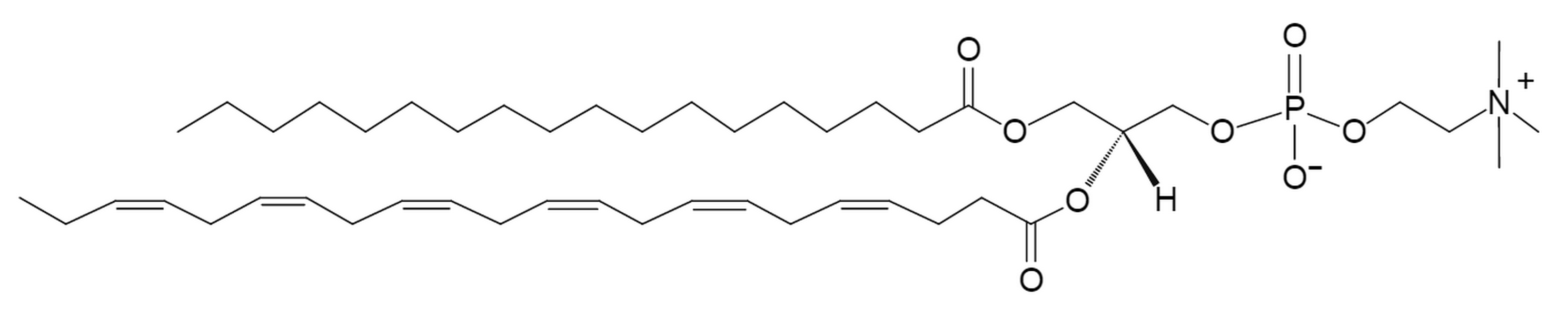 1-Stearoyl-2-docosahexaenoyl-sn-glycero-3-phosphocholine