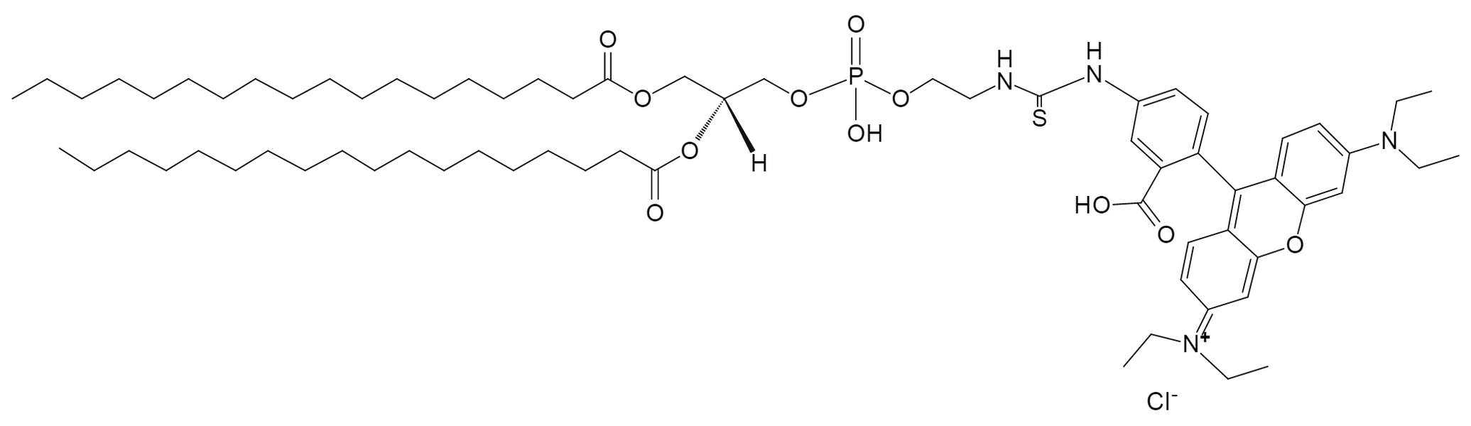 DSPE-Rhodamine