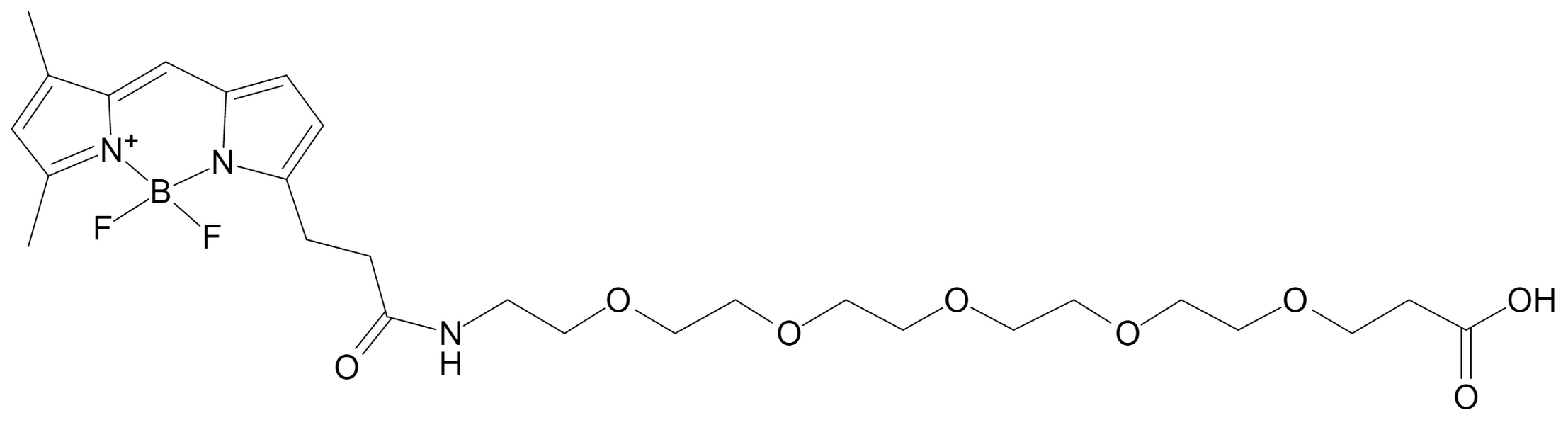 BDP FL-PEG5-acid