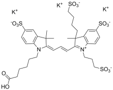 AP555 carboxylic acid