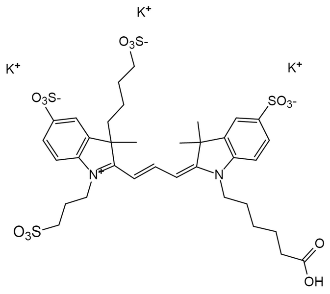 AP555 carboxylic acid