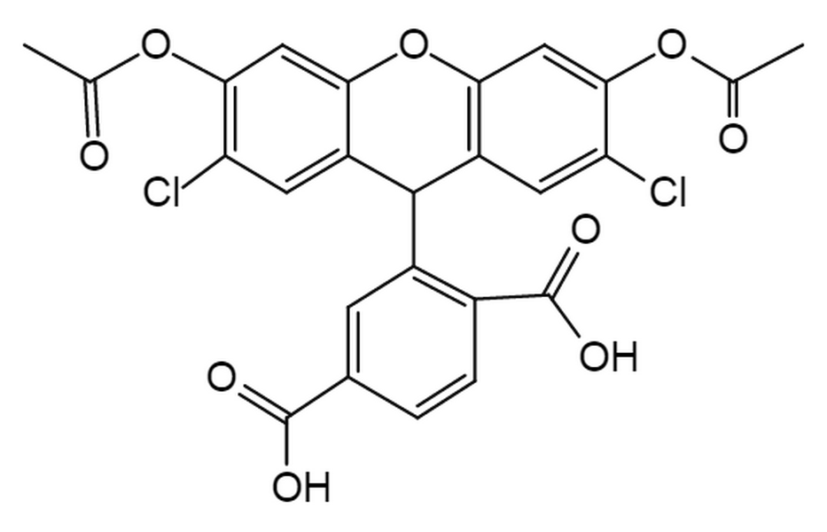 6-Carboxy-H2DCFDA (6-carboxy-2',7'-dichlorodihydrofluorescein)