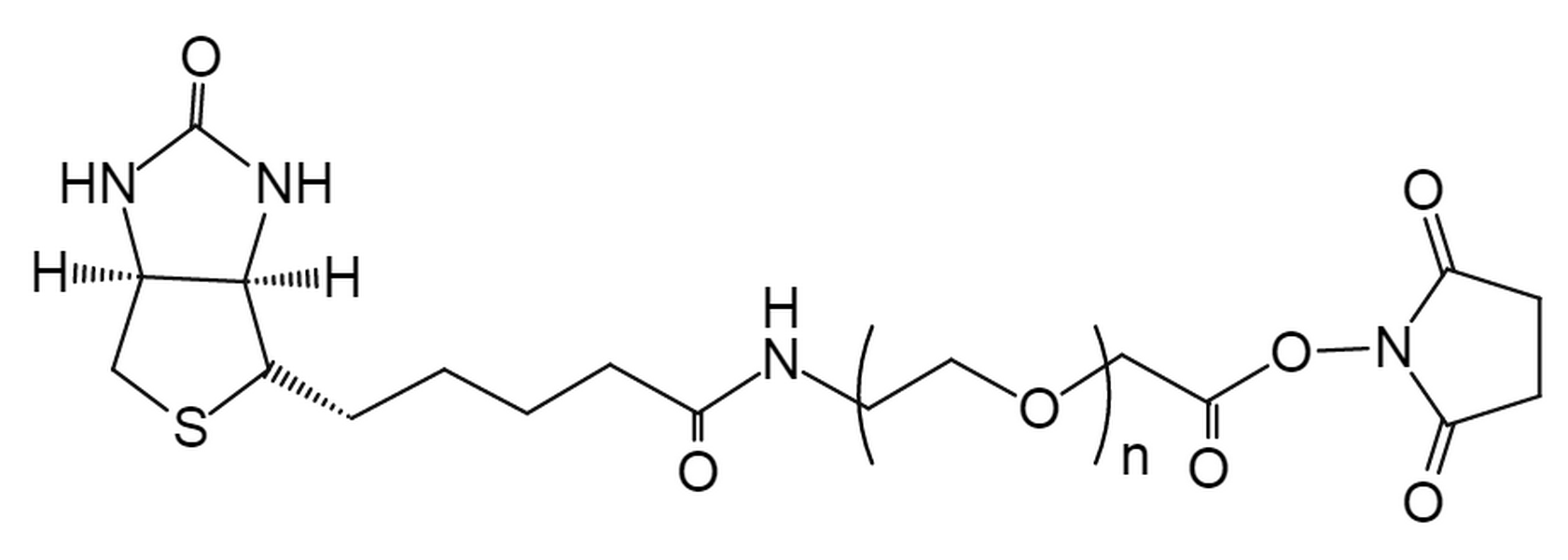 Biotin-PEG-SCM,MW 2K