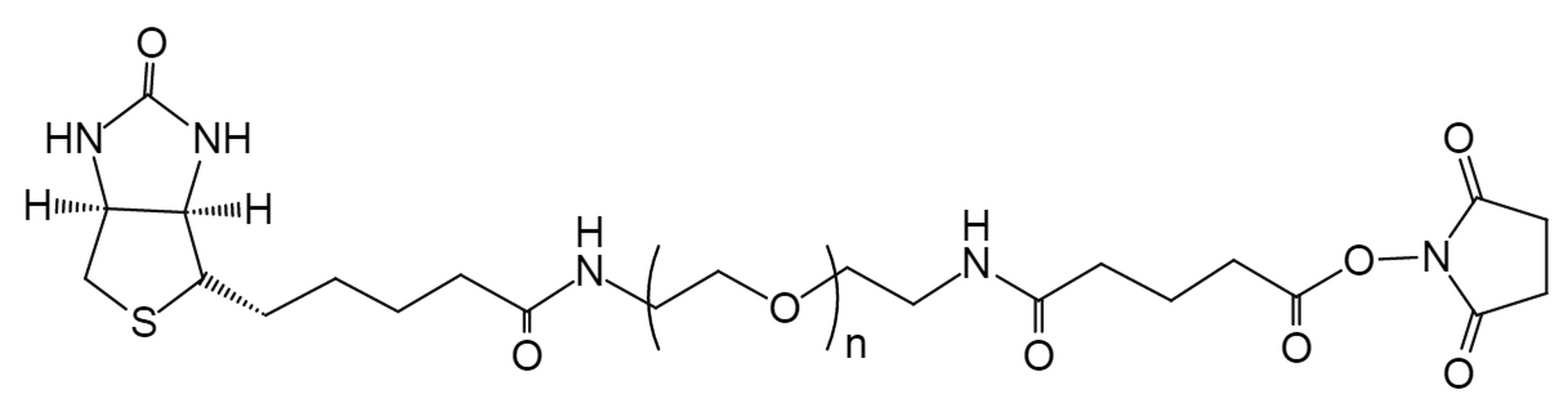 Biotin PEG Succinimidyl Glutaramide,MW 3.5K