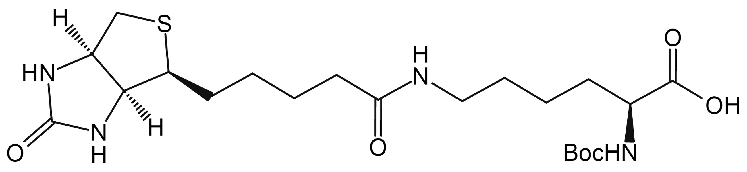 N-Boc-Biocytin