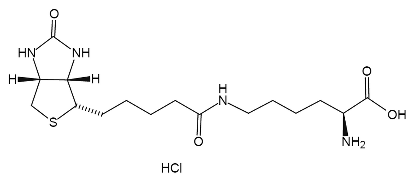 Biocytin hydrochloride