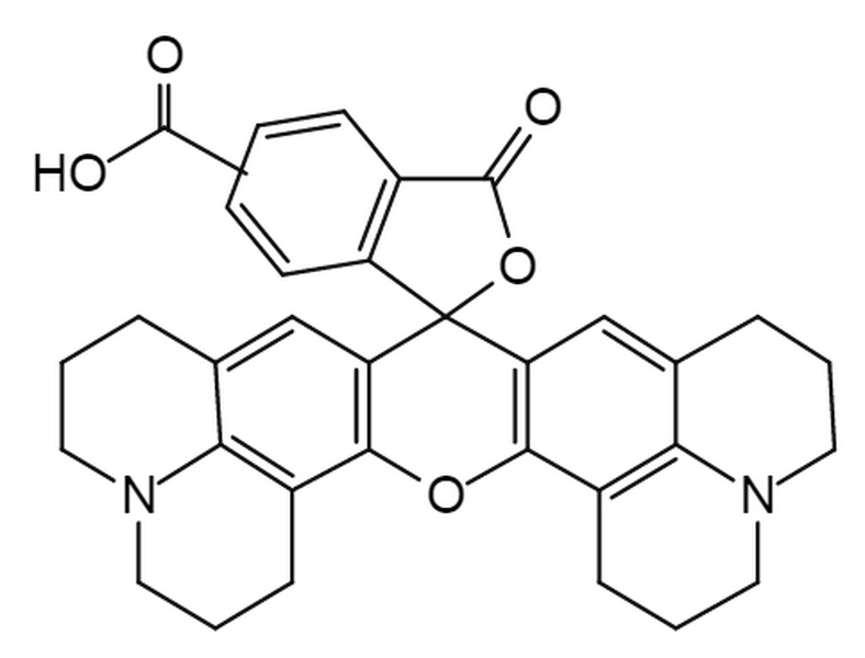 5-ROX (5-Carboxy-X-Rhodamine)