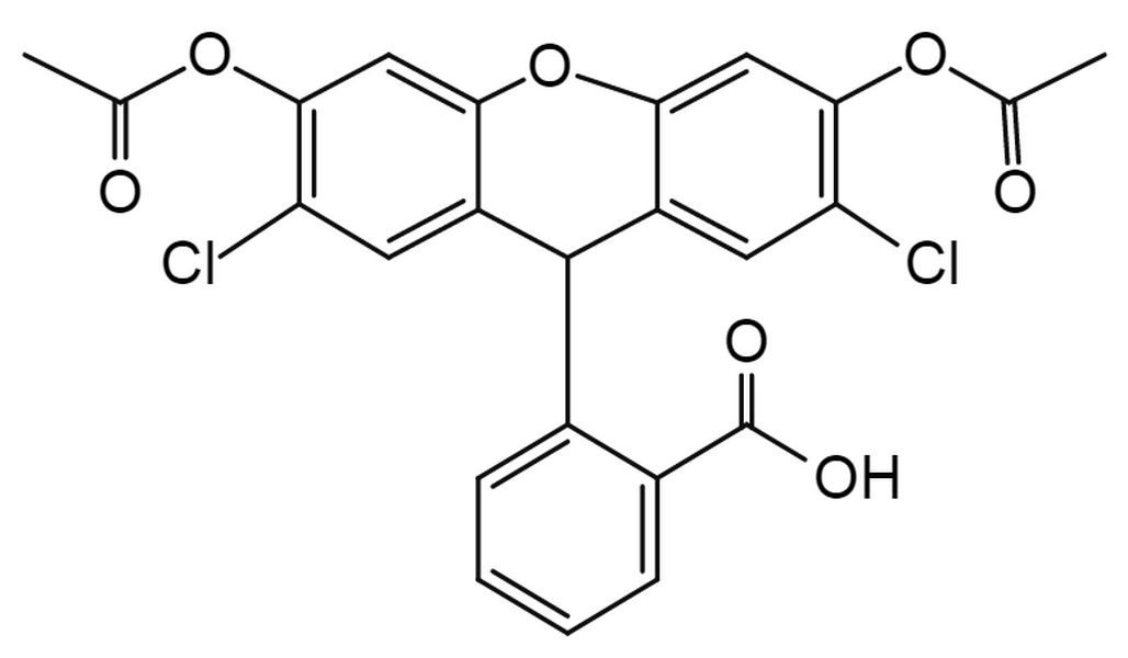 H2DCFDA (2′,7′-dichlorodihydrofluorescein diacetate)