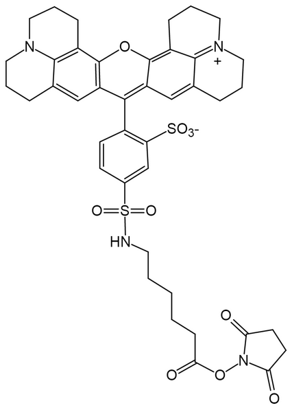 TR X NHS ester, 5-isomer