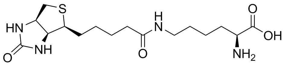 Biocytin