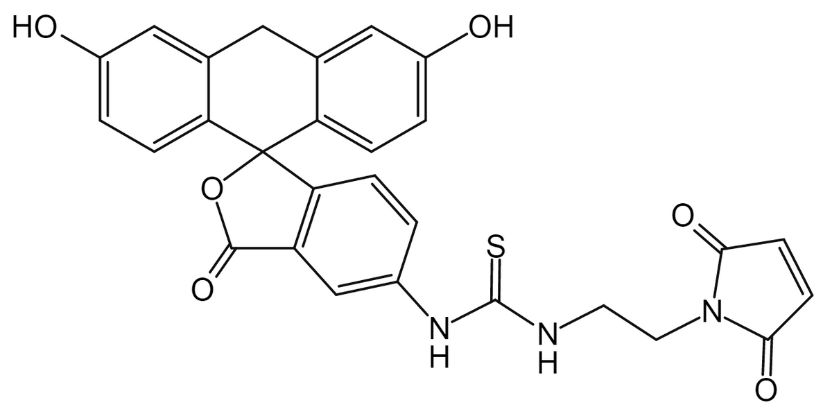 Fluorescein-Maleimide