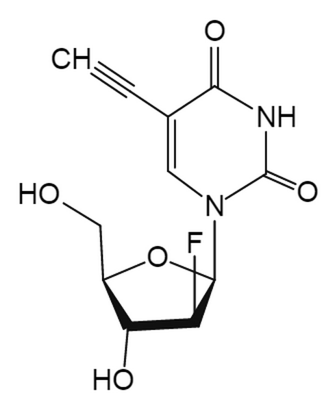 F-ara-EdU ((2’S)-2’-Deoxy-2’-fluoro-5-ethynyluridine)
