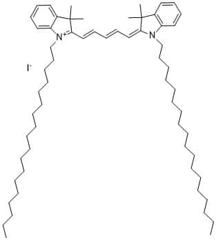 DiD, lipophilic tracer