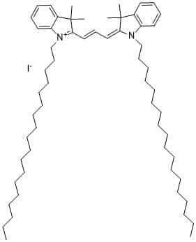 DiI, lipophilic tracer