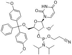 DMT-2'O-Methyl-rU Phosphoramidite