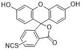 FAM isothiocyanate (FITC), 5- and 6-isomers