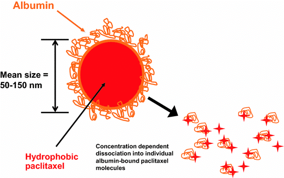 nanoparticle albumin-bound paclitaxel