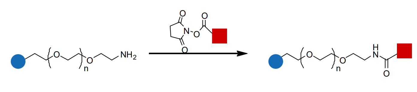 Amino-PEG-1