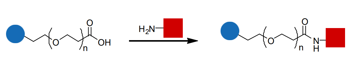 Amino-PEG-2