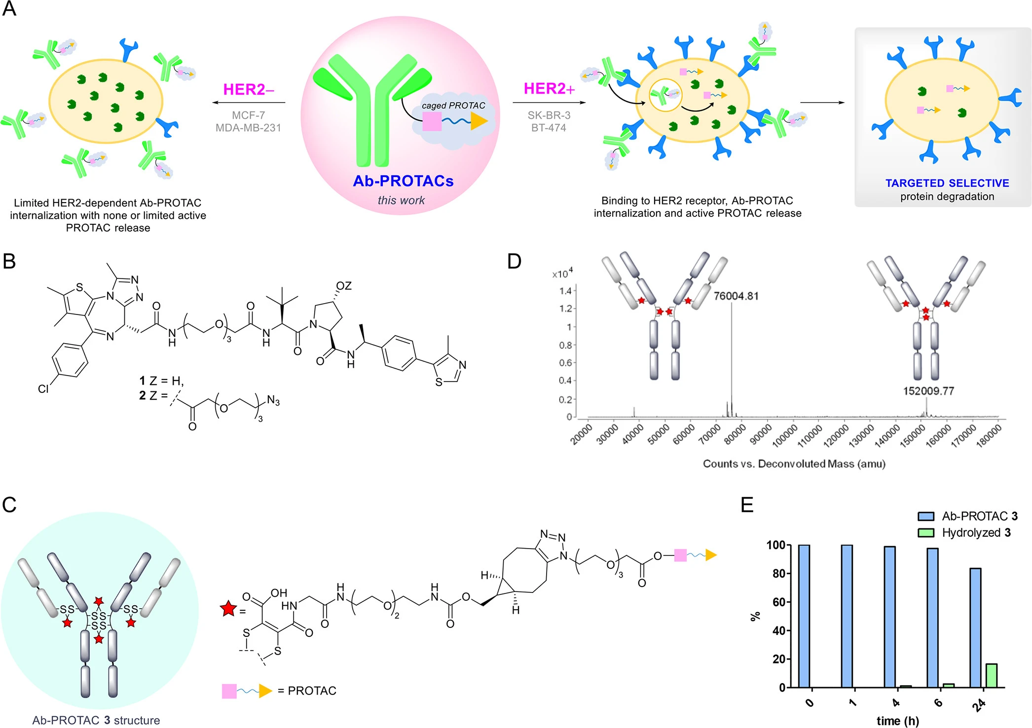 DAC Targeting HER2 and BRD4