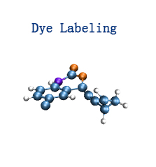 Fluorophores, Fluorescent Dyes, Fluorescent Probes & Stains | AxisPharm