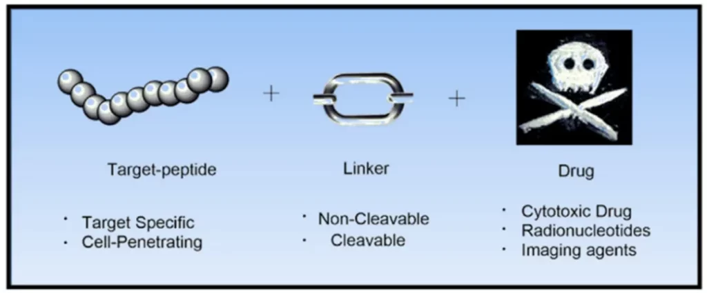 Figure 1. Structure of PDCs