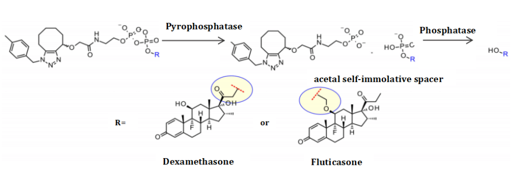 Figure 10 Dexamethasone and Fluticasone Propionate
