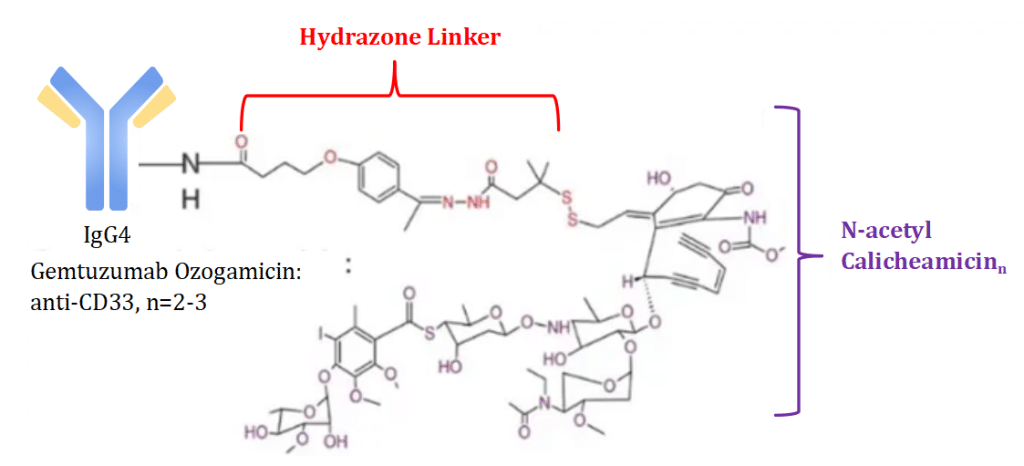 An Introduction to Linkers in Antibody-Drug Conjugates (ADCs) | AxisPharm