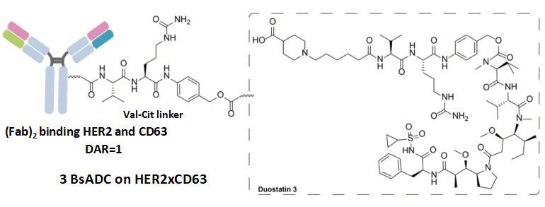 Figure 5. 3BsADC on HER2xCD63